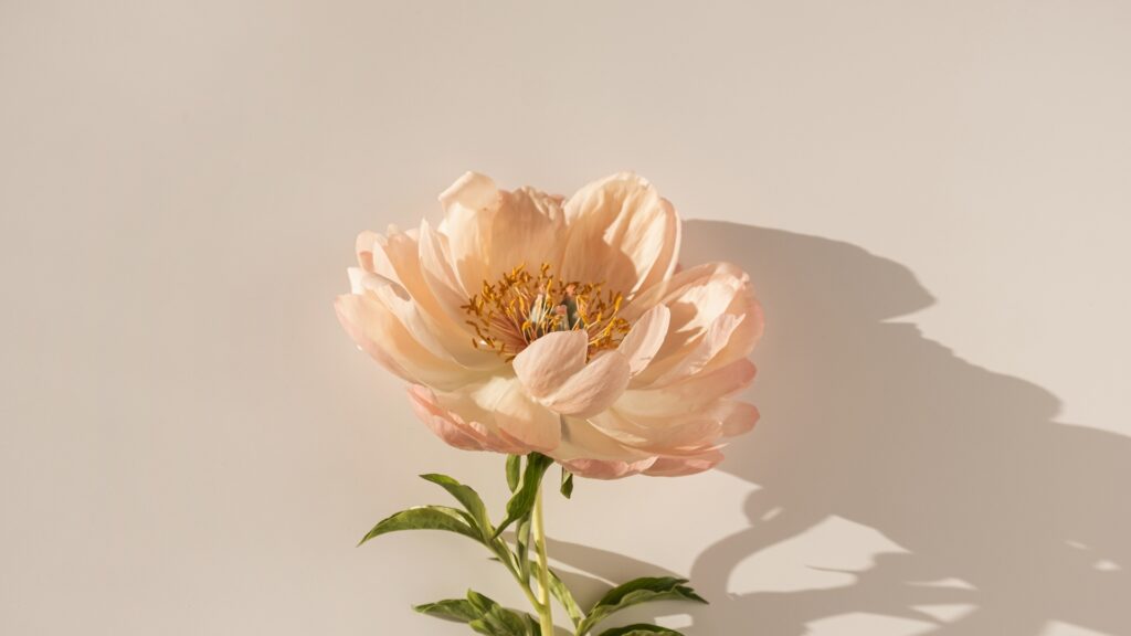 ママLaboトップスライド